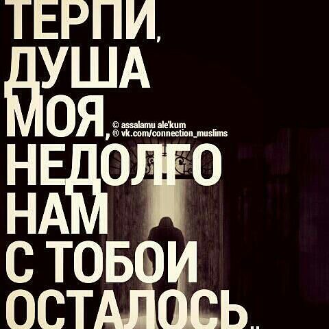 коллекции есть картинки терпи душа моя наличии