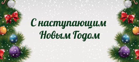 Новый Год В Туле Отзывы