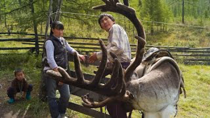Сойоты. Культура, обычаи, традиции.
