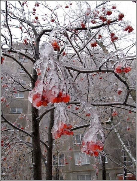 №126, Ривка Ткаченко, 53 года, Одесса №126, Ривка Ткаченко, 53 года, Одесса