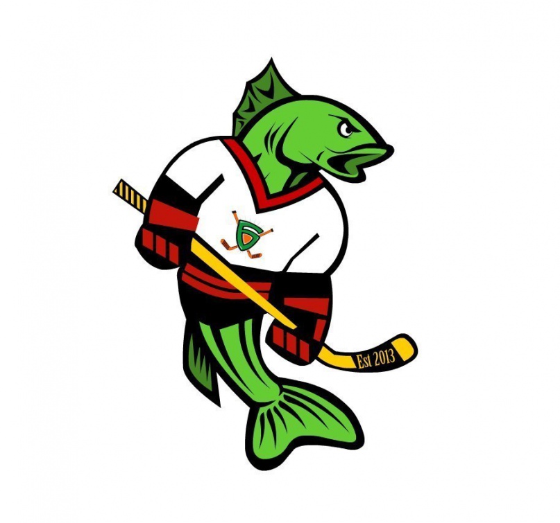 Хоккейный Клуб КАРПЫ Москва 2024 | ВКонтакте