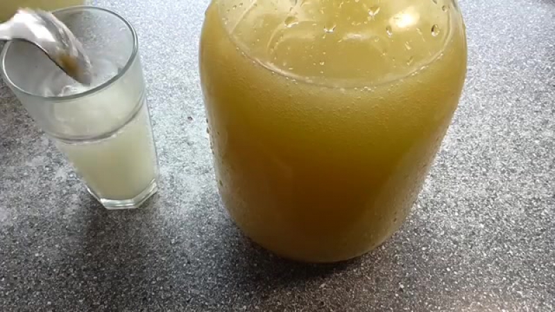 Лечебный квас на сыворотке с чистотела. Рецепт кваса по Болотову