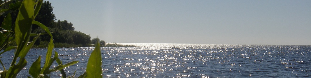 ДЕНЬ МЕДИТАЦИЙ НА РЫБИНСКОМ ВОДОХРАНИЛИЩЕ