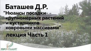 Денис Баташев. “Нюансы посадки крупномерных растений и кустарников ковровыми массивами“ часть 1.