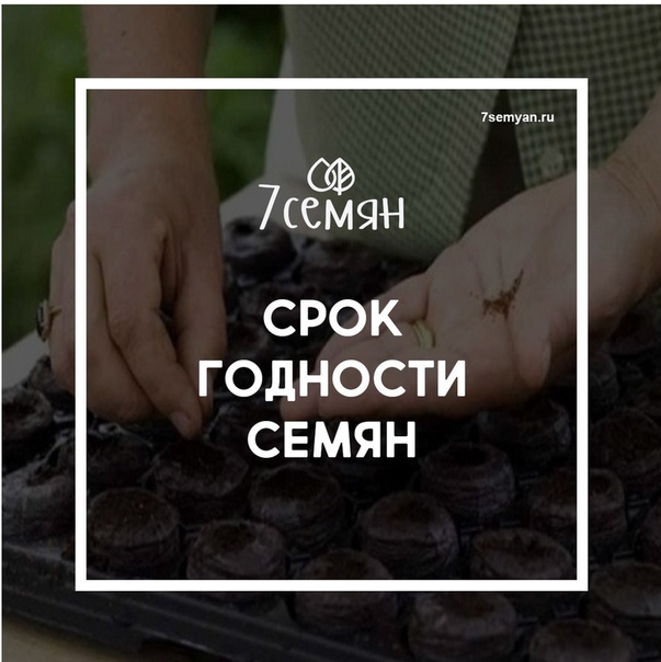 Магазин 7 Семян Отзывы