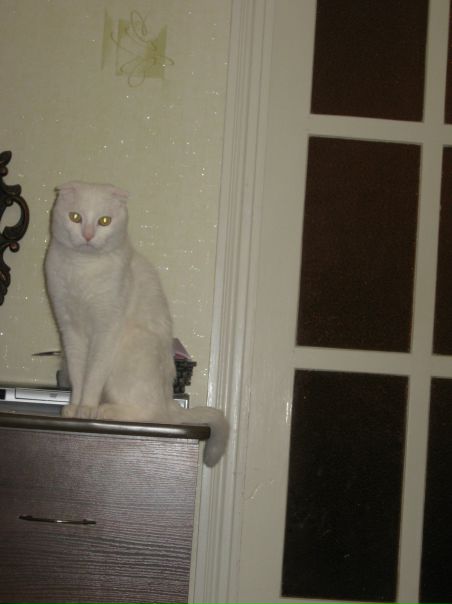 №7, Юлия Воронова, 42 года, Николаев №7, Юлия Воронова, 42 года, Николаев