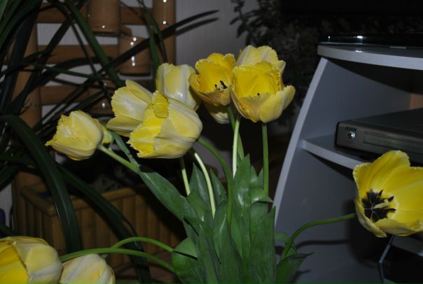 №54, Ольга Грузд, 40 лет, Симферополь №54, Ольга Грузд, 40 лет, Симферополь