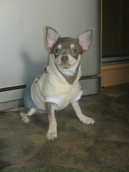 №71, Жанна Игнатьева, Санкт-Петербург №71, Жанна Игнатьева, Санкт-Петербург