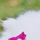 №183, Михаил Войтик, 28 лет, Минск №183, Михаил Войтик, 28 лет, Минск