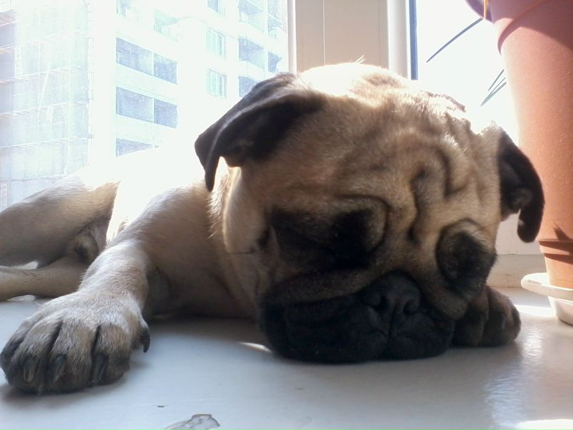 №59, Таня Зализняк, 37 лет, Винница №59, Таня Зализняк, 37 лет, Винница