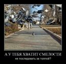 Фотография Phoenix Guru