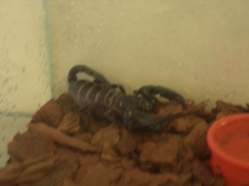 Ирина Соболева Алексеевна | Хабаровск