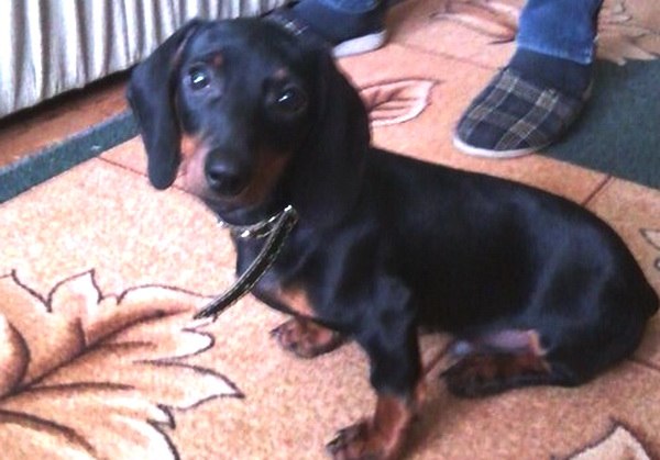 Соломія Андрійчук | Тернополь