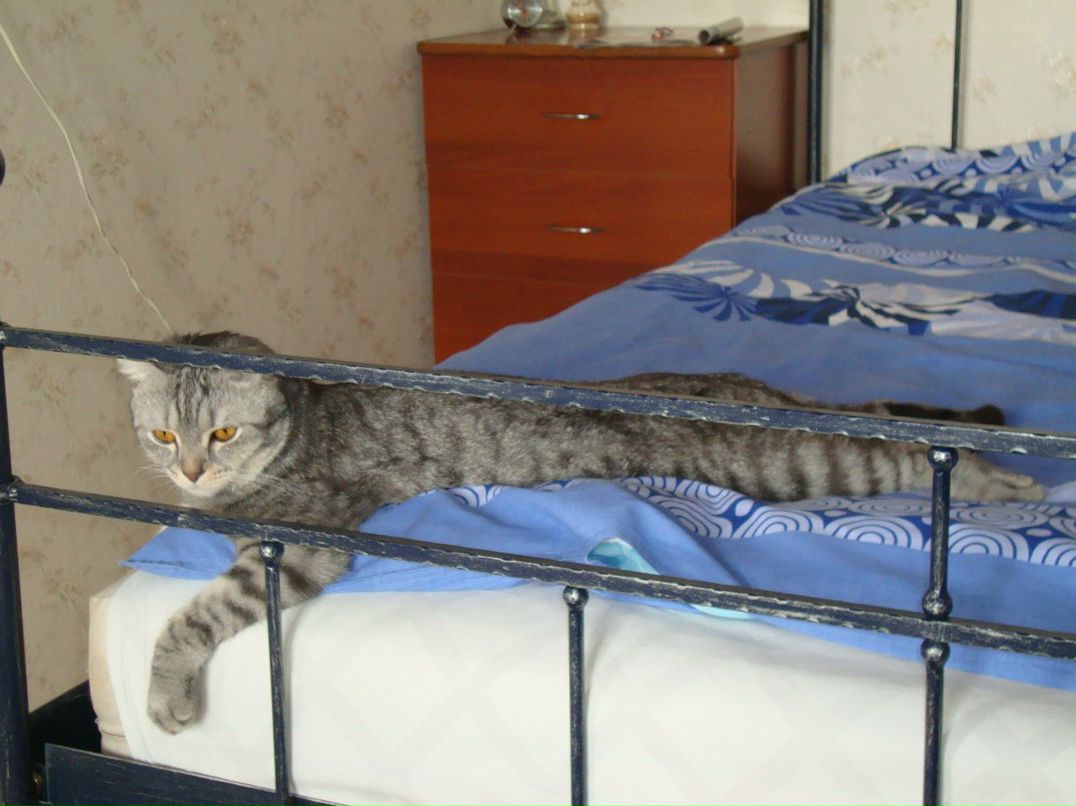 Алевтина Панкова | Мегион