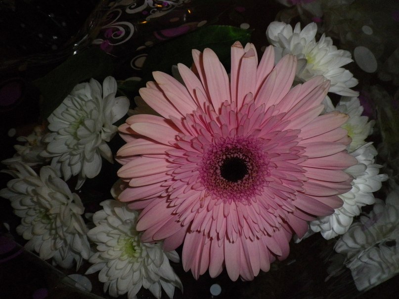 Татьяна Конкина | 