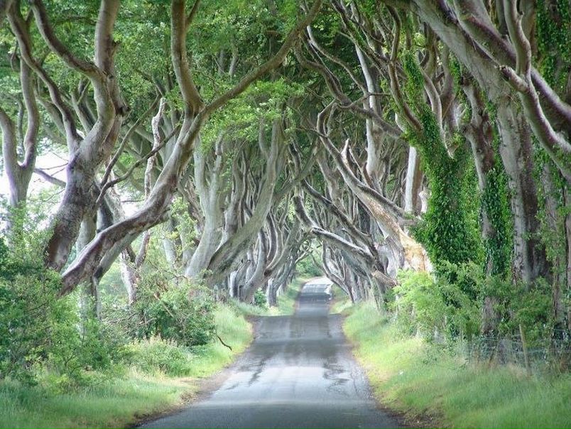 №53, Елена Ветрова, Нижний Новгород №53, Елена Ветрова, Нижний Новгород