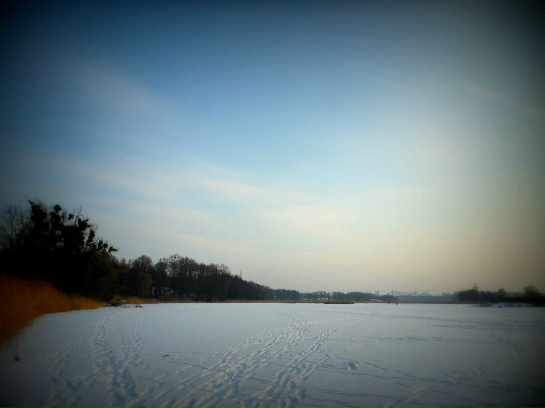 Алеся Стельмах | Киев
