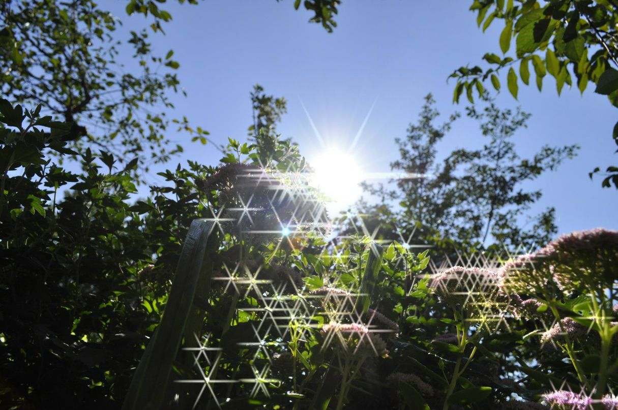 Владимир Челбарах | Мариуполь