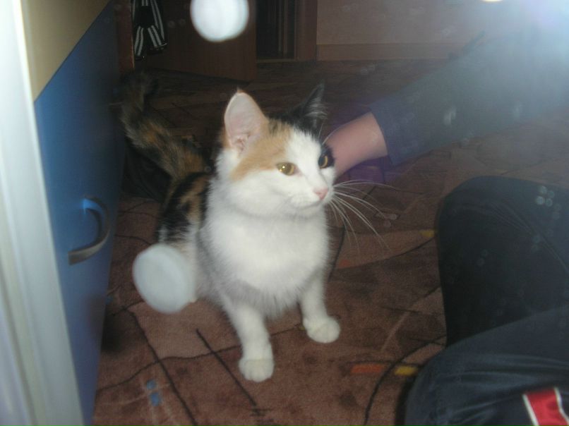 Людмила Каравацкая | Северодвинск