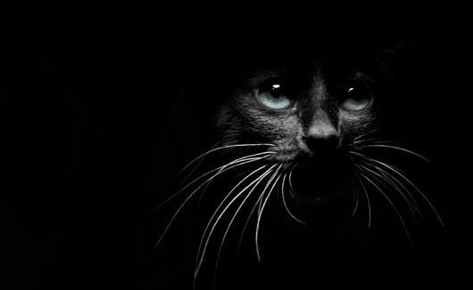 №51, Anna Pekarskaya, Таллин №51, Anna Pekarskaya, Таллин