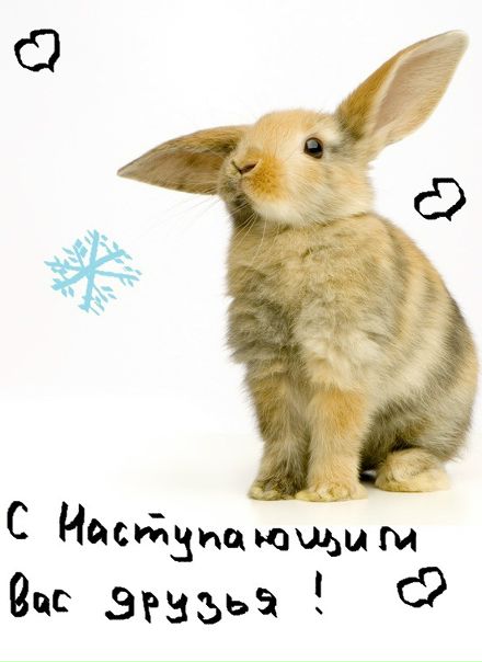 №60, Мария Фролова №60, Мария Фролова