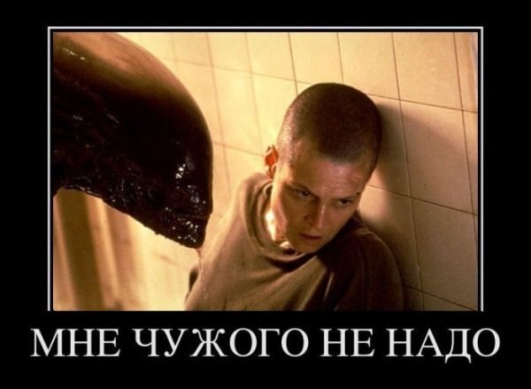 Maksim Kozachuk ???? | Санкт-Петербург