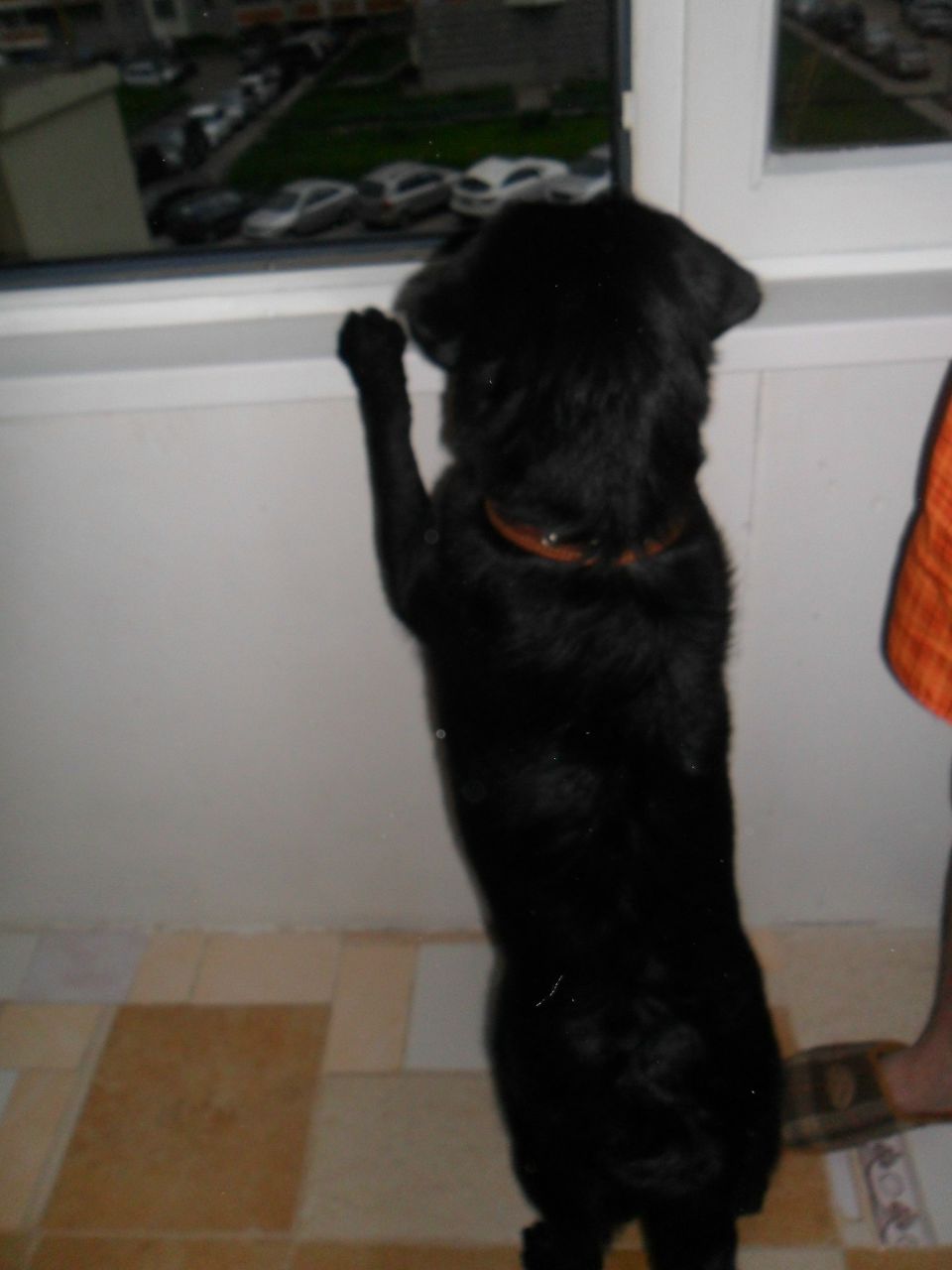 Света Мещерякова | Москва