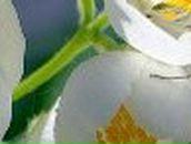 Инна Алексейчук | Минск