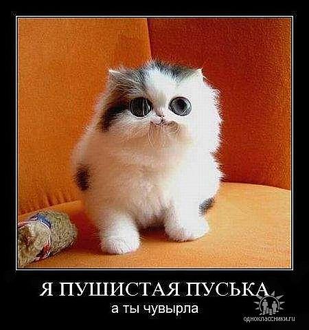 №47, Анфиса Милованова, Одесса №47, Анфиса Милованова, Одесса