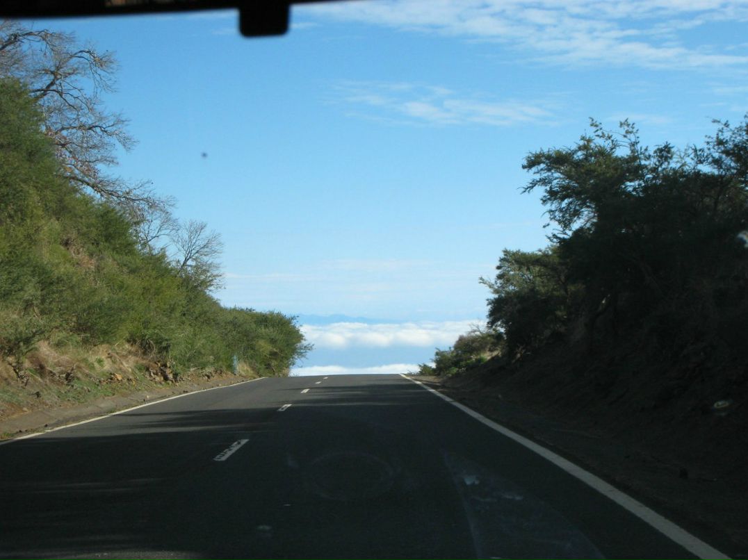 Саша Боговков | Санкт-Петербург