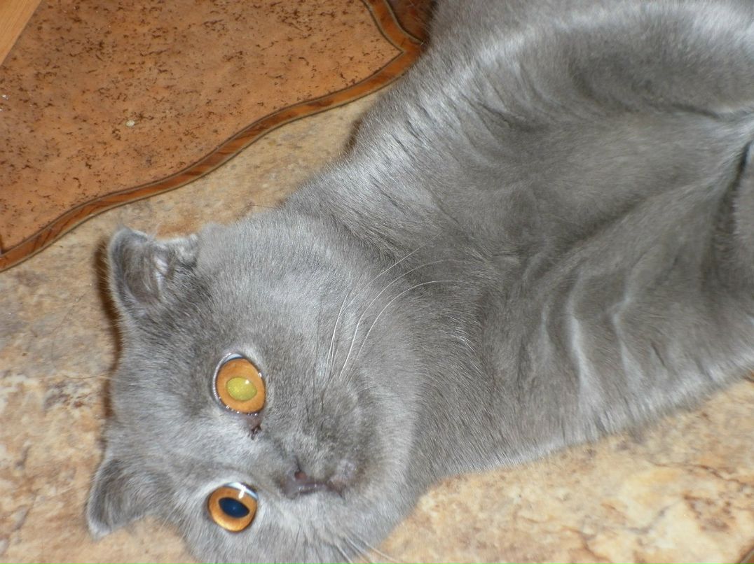 Евгения Латышева | Омск