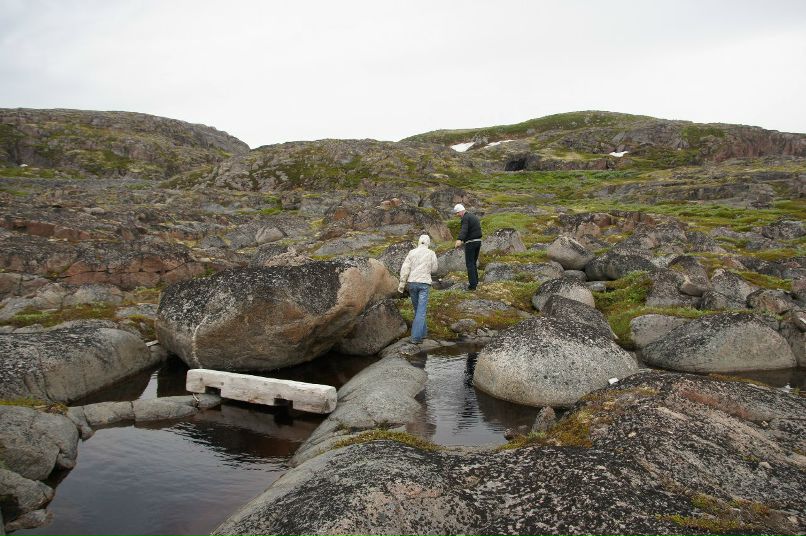 Александр Степанов | Псков