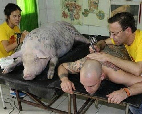 Филипп Васильев | Санкт-Петербург