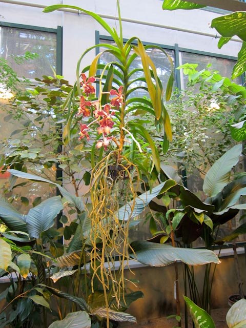 Анастасия Цветкова | Москва