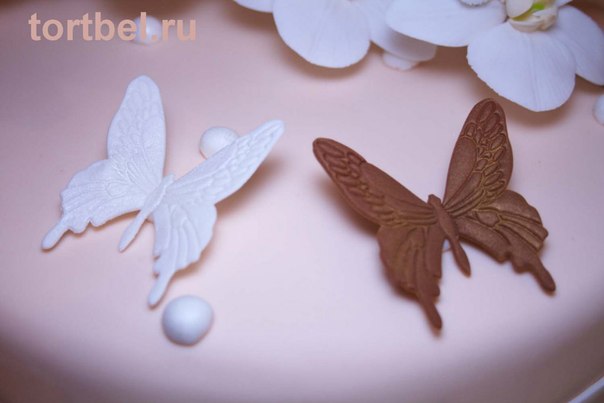 №15, Эльвира Новикова, Белоозёрский №15, Эльвира Новикова, Белоозёрский