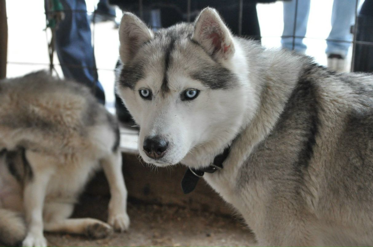 Катерина Варлашова | Москва