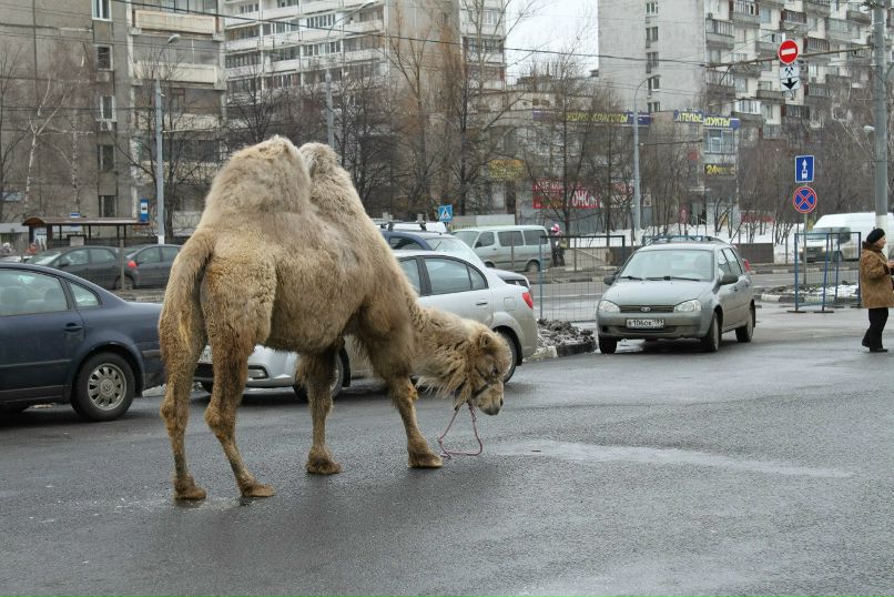 Андрей Тулупов | Москва