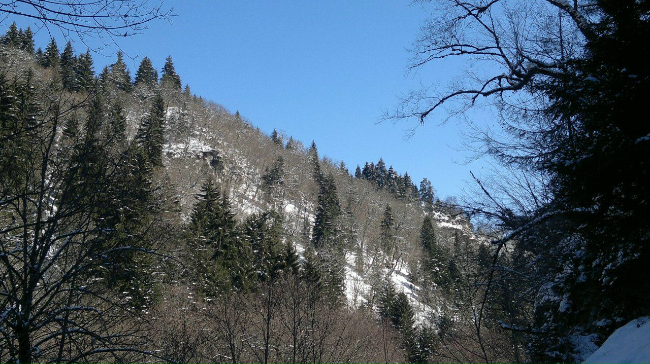 Александр Небиеридзе | Москва