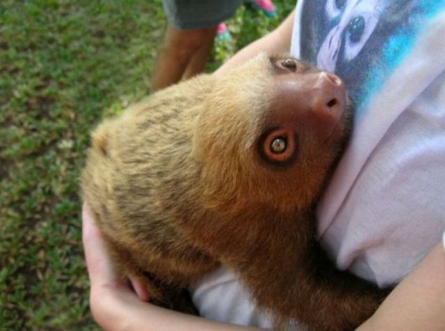 Рахман Бабаєв ツ ﺕ ټ | Киев