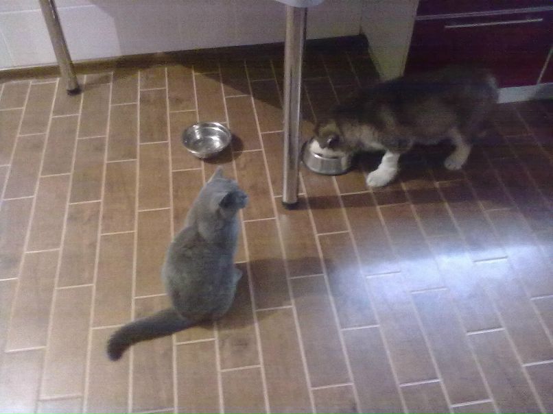 Александр Автаев | 