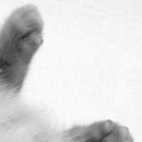 №124, Светлана Коса, Запорожье №124, Светлана Коса, Запорожье