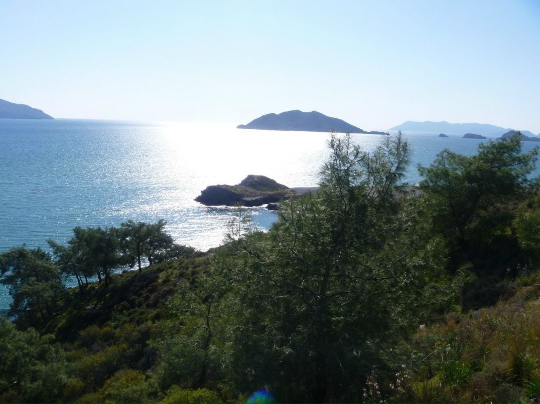 Ирина Артамонова | Москва