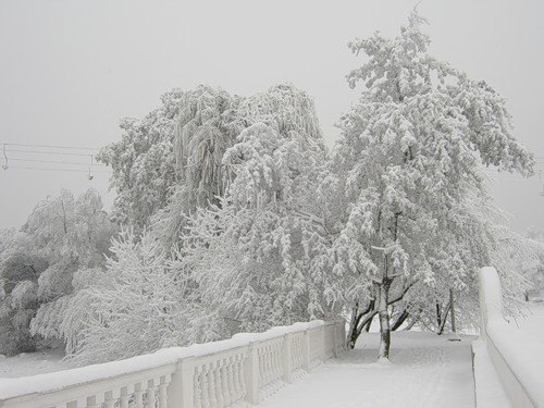 Ксения Сундиева | Нальчик