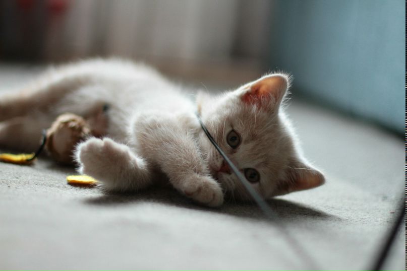 Алёна Глухих | Санкт-Петербург