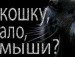 Наташа Фильчук | Днепр (Днепропетровск)