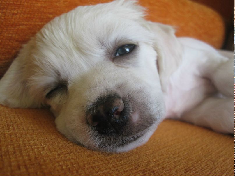 Анастасия Граховская | Таллин