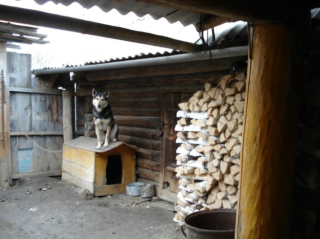 Серёга Новоселов | Екатеринбург