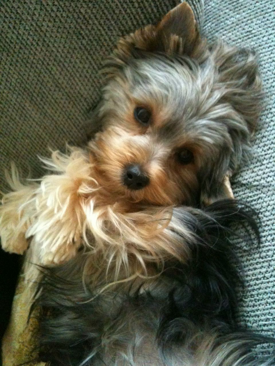 Natasha Kna | Харьков