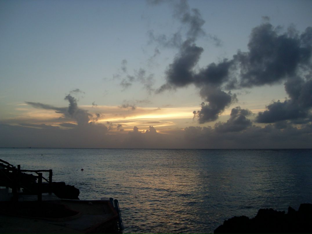 Юлия Шибаева | Санкт-Петербург