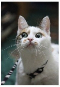 Богдан Сакк der0b | Одесса